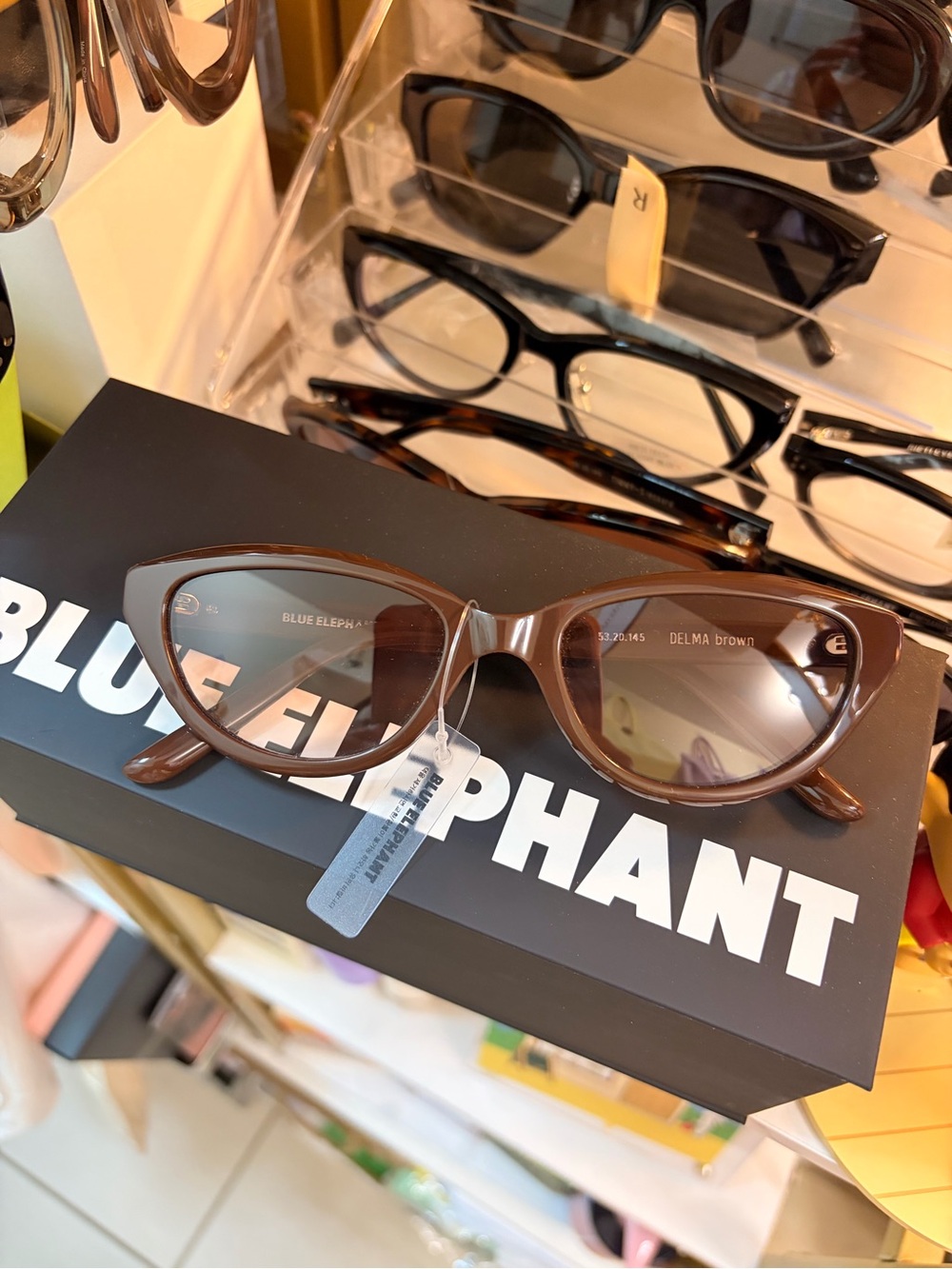 Blue Elephant Delma Cat-Eye Sunglasses in Brown
